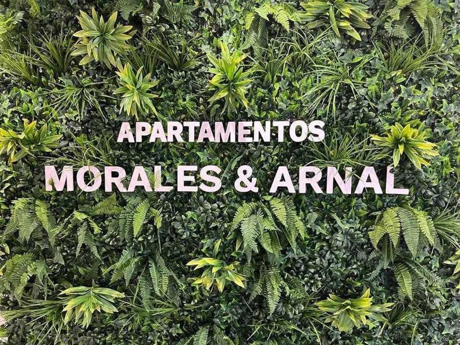XX D Apartamentos Morales & Arnal Ronda Eksteriør billede